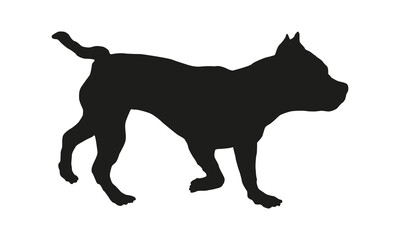 Black dog silhouette. Running american bully puppy. Pet animals. Isolated on a white background.