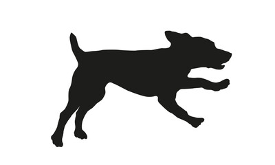 Running and jumping russian spaniel puppy. Black dog silhouette. Pet animals. Isolated on a white background.
