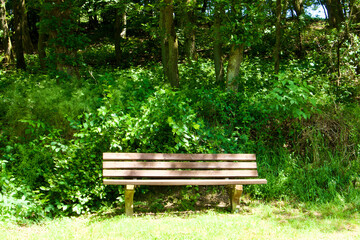bench in nature near to a trail