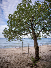The Baltic Sea coast with a tree swing on the beach in Lubmin, Mecklenburg-Western Pomerania, Germany