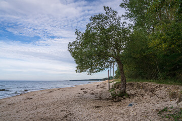 Fototapeta na wymiar The Baltic Sea coast with a tree swing on the beach in Lubmin, Mecklenburg-Western Pomerania, Germany