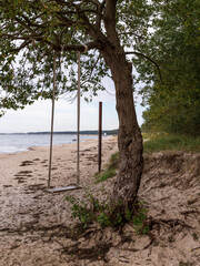 Obraz premium A tree swing on the beach in Lubmin, Mecklenburg-Western Pomerania, Germany
