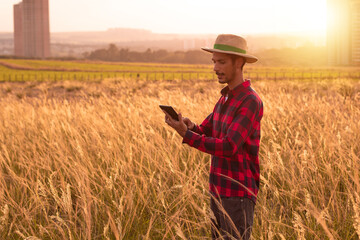 Naklejka na ściany i meble Farmer with hat and mobile tablet analyzing the plantation on sunset. Buildings and city blurred background. Space for text.