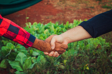 Handshake between farmer and customer, vegetable garden on blurred sunset background. Space for text.