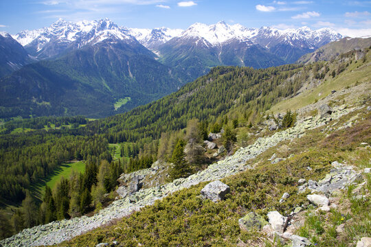Panoramablick über Felshang in Graubündner Tal