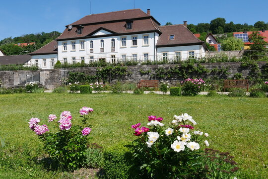 Pfingstrosen Abteigarten Orangerie Kloster Ebrach