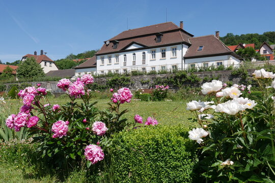 Abteigarten mit Pfingstrosen und Orangerie Kloster Ebrach