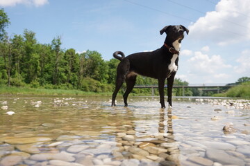 Abby