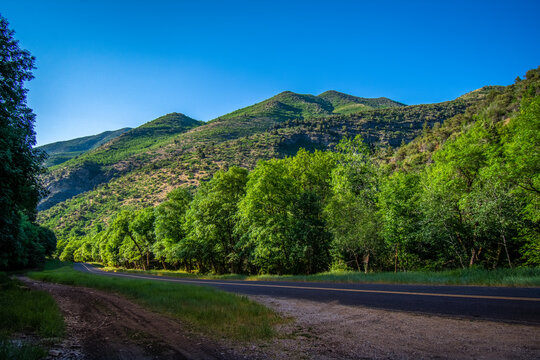 Middle Canyon, Utah.