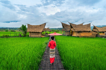 Asian women wearing Thai dress costume traditional according Thai culture at famous place in Nan province, Thailand.
