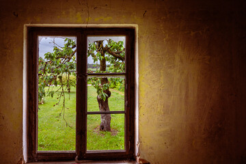 window in a deserted farm
