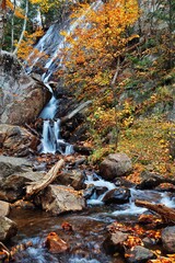 waterfall in autumn