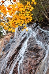 waterfall in autumn