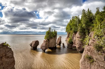 Store enrouleur tamisant Canada The Hopewell, or Flowerpot Rocks in the Bay of Fundy, New Brunswick