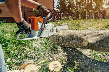 male worker cuts wood with an electric chainsaw