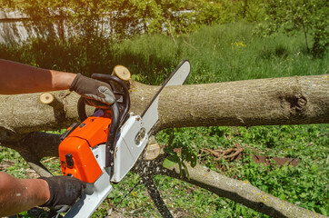 lumberjack cuts a tree in the backyard of a chainsaw electric chain saw