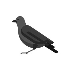 flat crow icon, bird animal icon. flat icon design vector