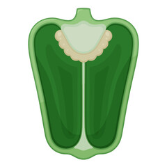 ピーマンの断面のイラスト_縦