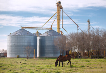 horse and silo