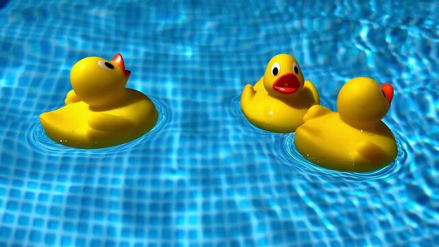 Ente 3