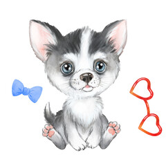 Husky dog puppy watercolor illustration, pet, cute animal, gray and white puppy with blue eyes 