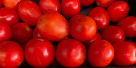 Tomatoes in supermarket on isolated white background.