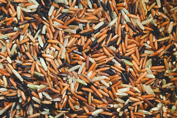 Mixed colors of different kind of rice. White Brown Red and Black.