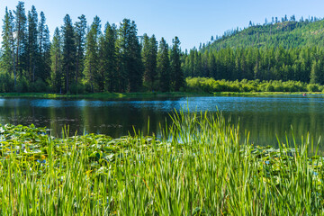 Fototapeta premium Round Lake
