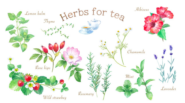 663 Best デトックス イラスト Images Stock Photos Vectors Adobe Stock