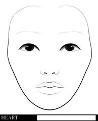 Face chart for make up artist