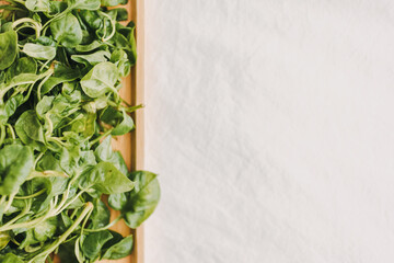 Green and fresh pile of Watercress served on wooden plate with white cloth background.