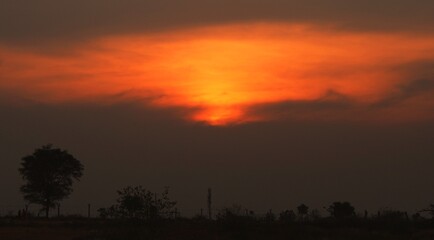 sunset in the forest