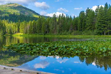 Fototapeta premium Round Lake