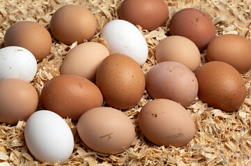 Venta de huevos ecológicos de gallina en mercado.