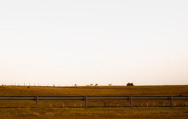 Dry landscape during winter. Dry foliage and grass. Dry weather