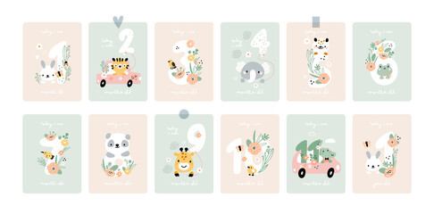 Baby shower print with cute animals, capturing all the special moments. Baby milestone cards with flowers and numbers for newborn girl or boy. 1-11 months and 1 year.  Baby month anniversary card - obrazy, fototapety, plakaty