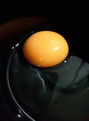 Raw  healthy egg yolk in the dark background