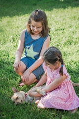 Naklejka na ściany i meble children playing in the garden with a dog