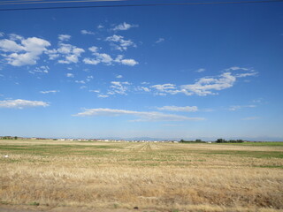 Summer Field in Denver Colorado