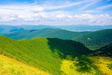 Fototapeta na wymiar grass on the steep hill. view in to the distant valleys and Gorgany ridge beneath a blue sky with clouds. wonderful summer landscape on a sunny weather in carpathian mountains