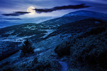 trail uphill the alpine meadow to the distant summit at night. beautiful mountain landscape in...