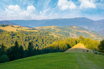 carpathian mountain rural landscape in the morning. forested hills with grassy meadow rolling down in to the valley. ridge in the distance beneath a blue sky with clouds