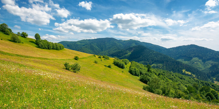 countryside landscape in mountains. grassy meadow on the hill. beautiful nature landscape. sunny summer day. clouds on the sky. travel back country concept