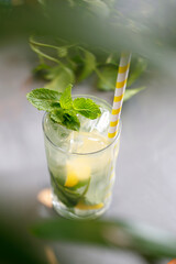 Mojito drink with rum, fresh mint, lime, ice, and water
Refreshing drink, culinary photography.