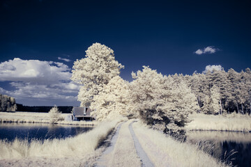 infrared photography - surreal ir photo of landscape with trees under cloudy sky - the art of our...