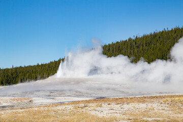 Geyser