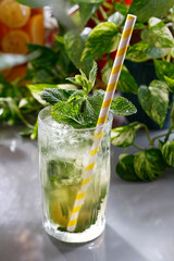 Mojito drink with rum, fresh mint, lime, ice, and water
Refreshing drink, culinary photography.