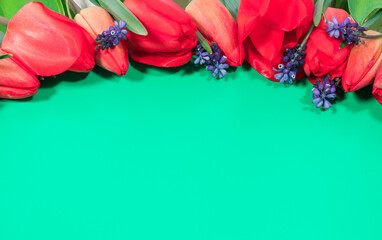 Naklejka premium Green horizontal banner with place for text copy space. On a background of red and pink flowers tulips.