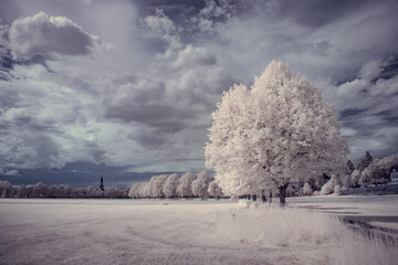 infrared photography - surreal ir photo of landscape with trees under cloudy sky - the art of our...