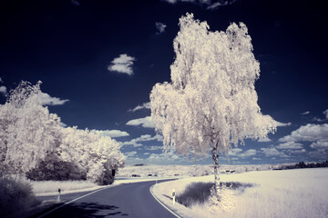 infrared photography - surreal ir photo of landscape with trees under cloudy sky - the art of our...